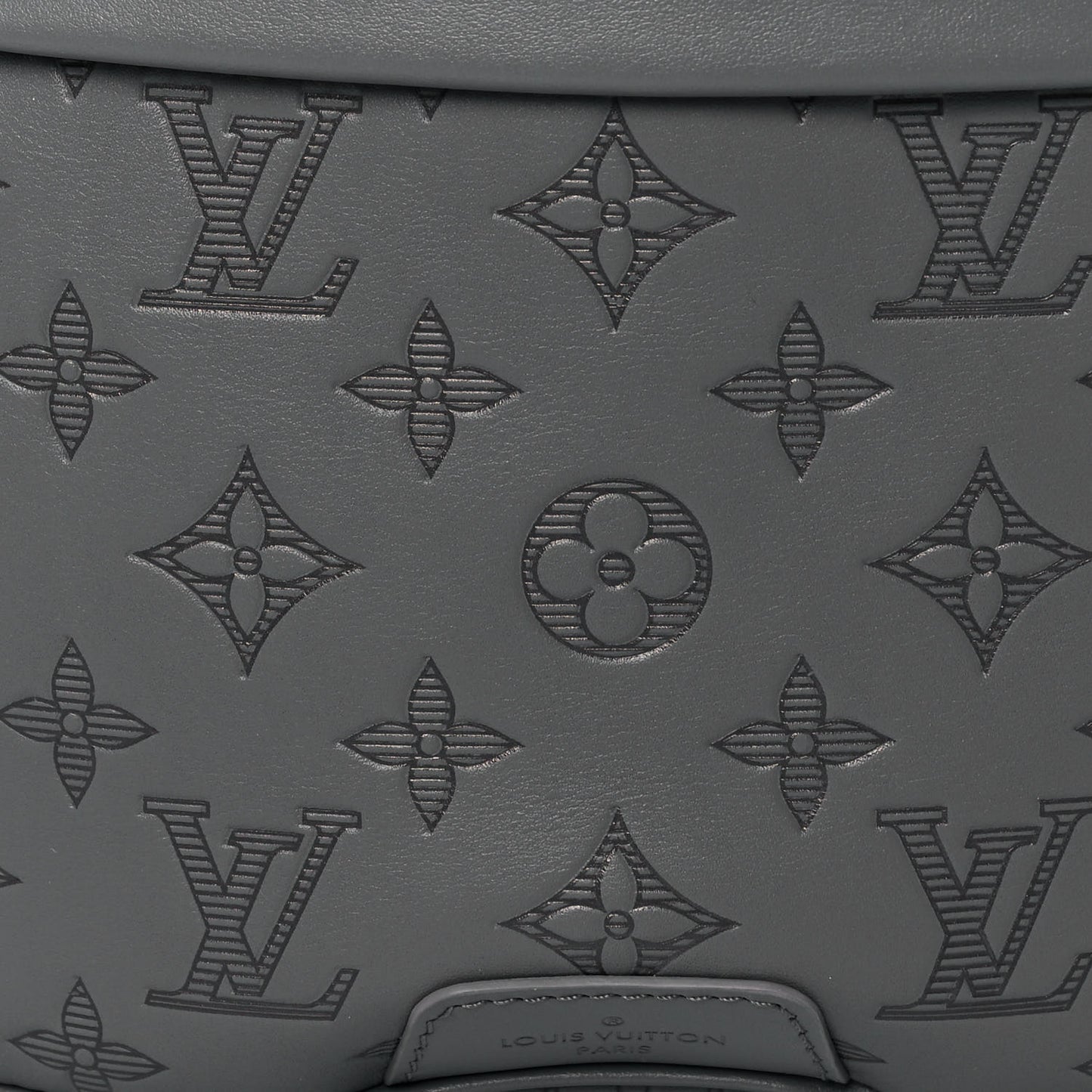 Calfskin Monogram Shadow Discovery Bumbag PM Gray