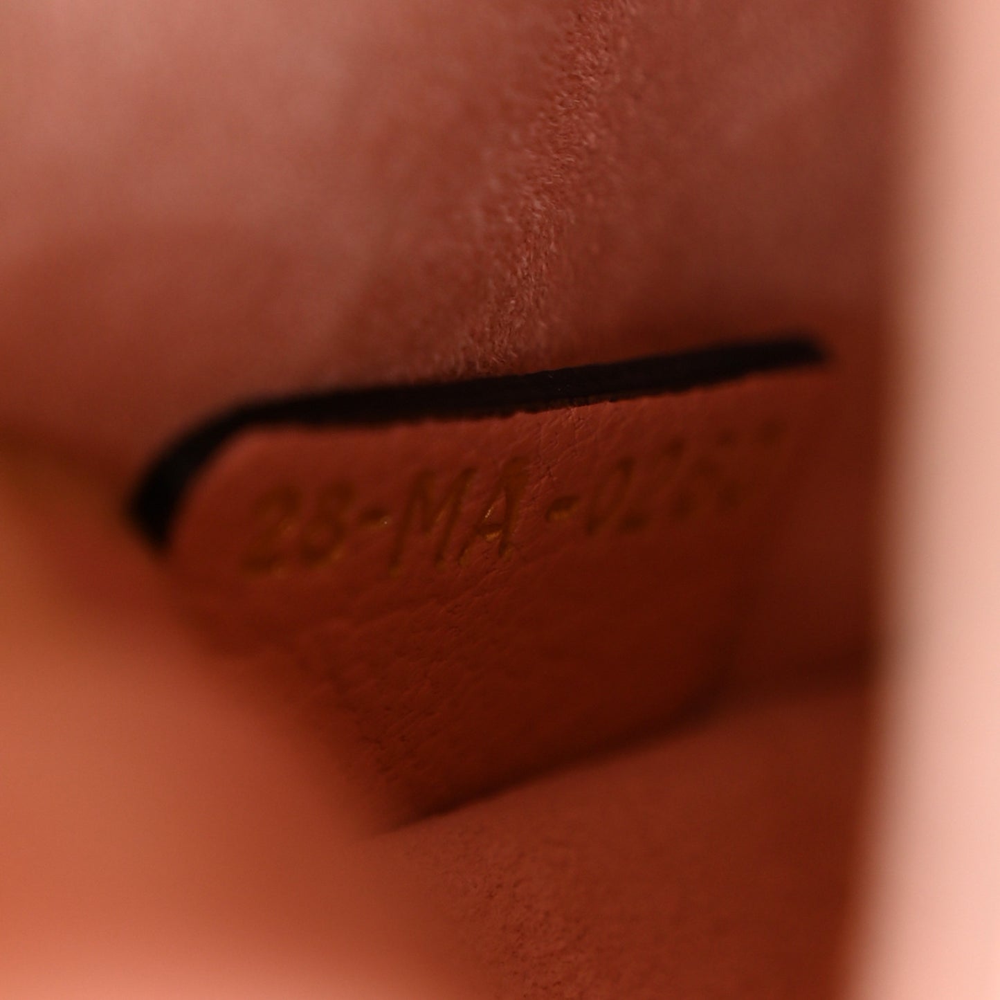 Goatskin Mini Saddle Bag Rose Des Vent