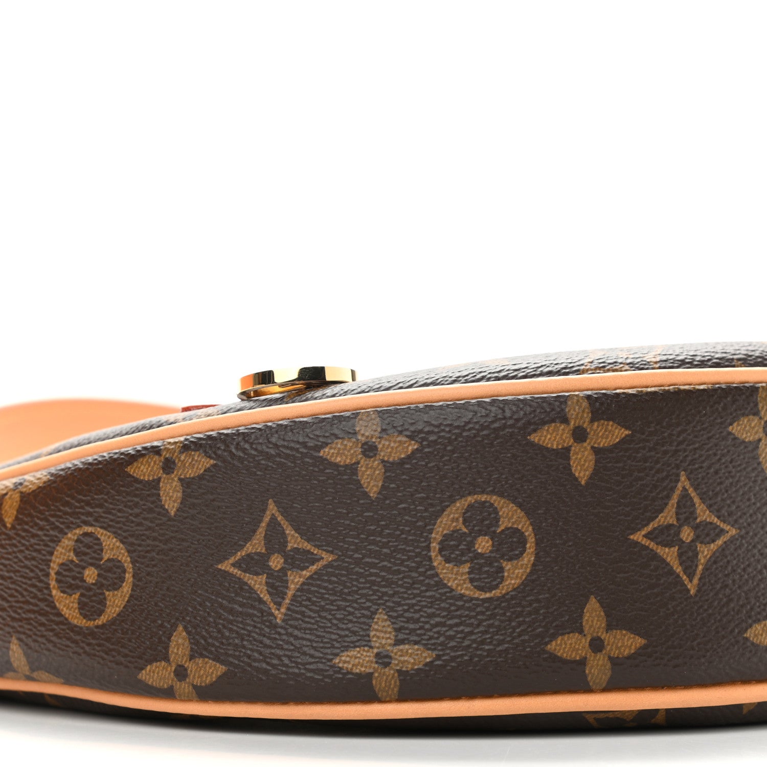Louis Vuitton Monogram Loop 8 of 10