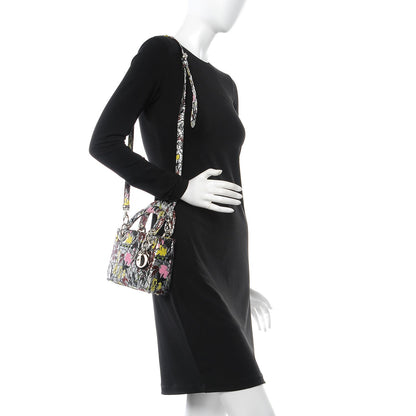 Christian Dior Metallic Canvas Embroidered Mini Lady Dior Argent Multicolor 2 of 8