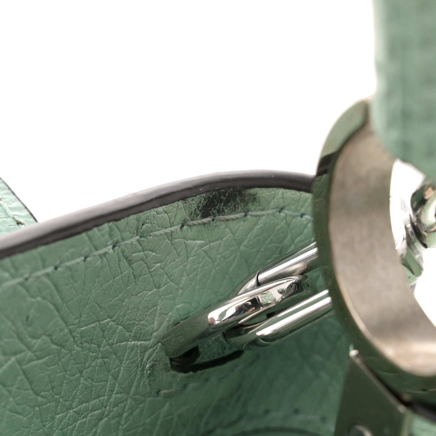 Iridescent Ostrich Capucines Mini Vert d’Eau