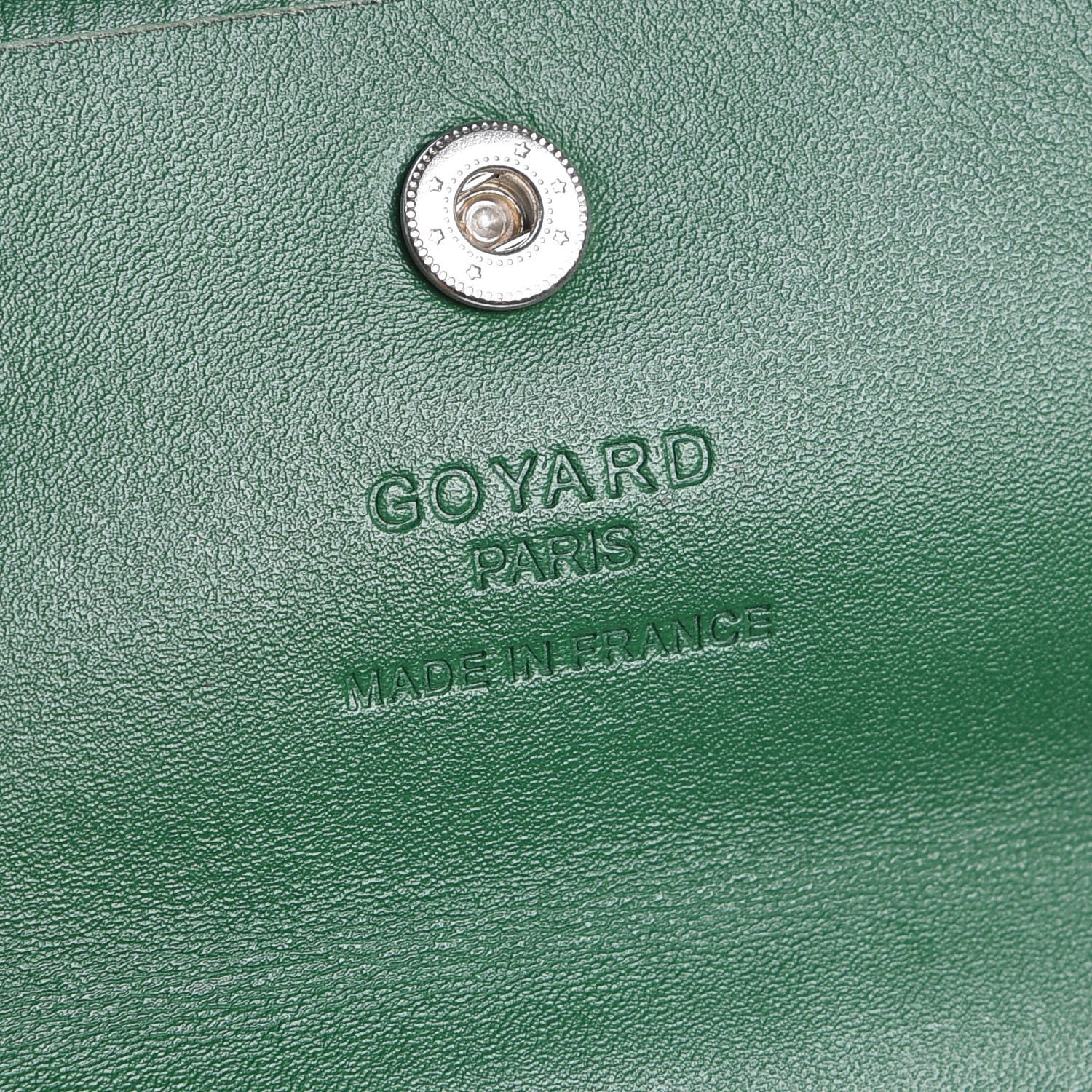 Goyard Goyardine Saint Louis PM Green 10 of 15
