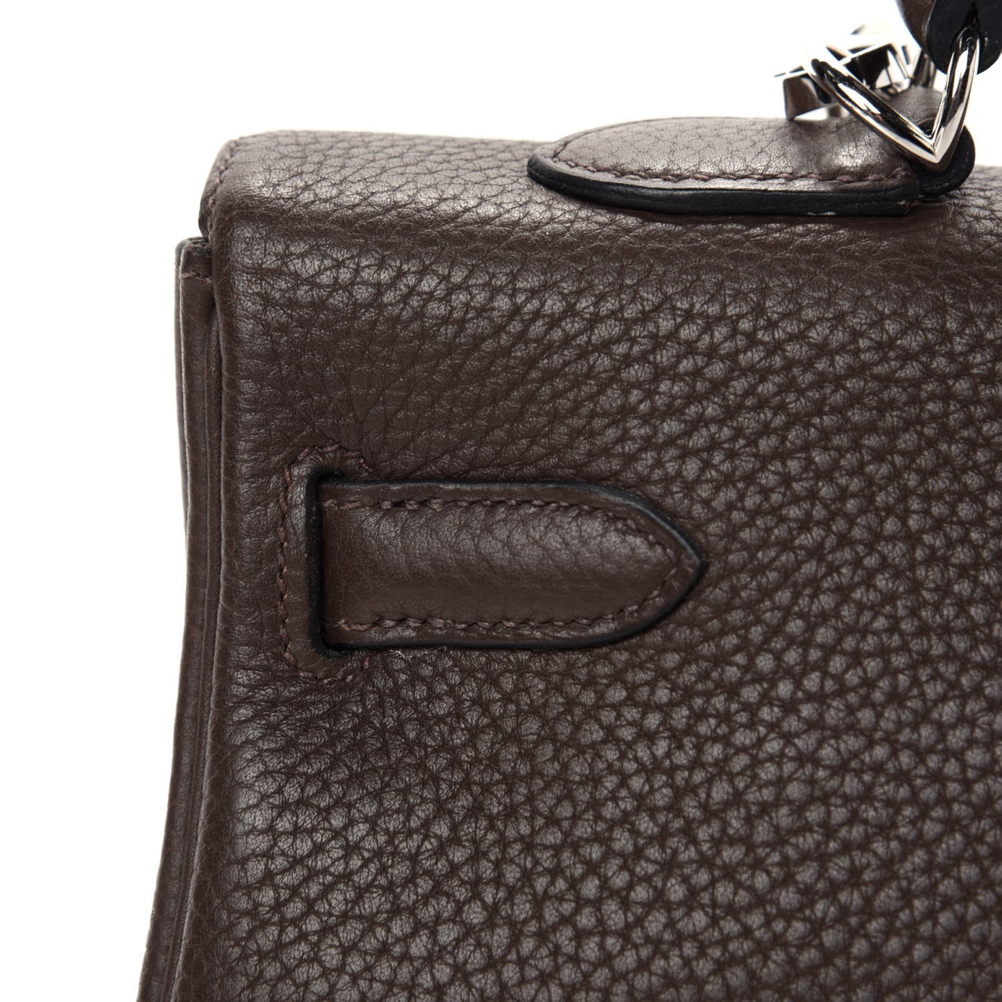 Taurillon Clemence Kelly Retourne 35 Chocolate