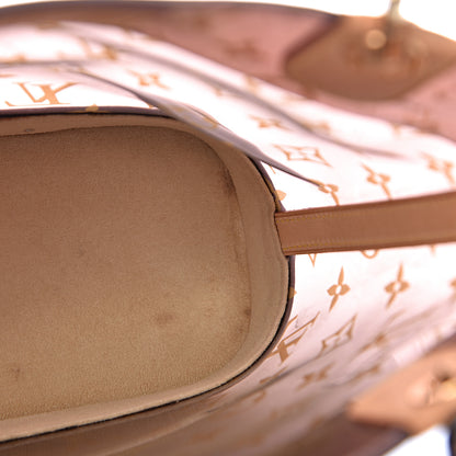 Louis Vuitton Vinyl Cabas Ambre PM 12 of 16