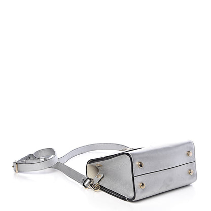 Christian Dior Metallic Grained Calfskin Mini Diorever Flap Silver 4 of 16