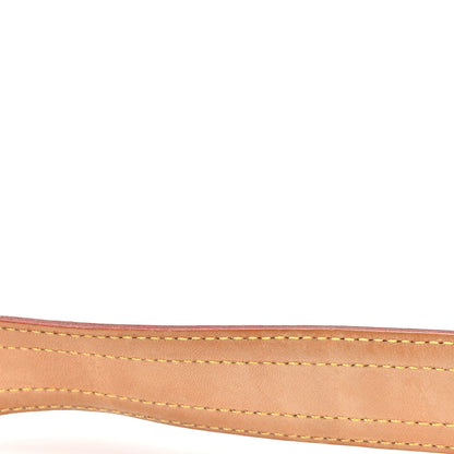 Louis Vuitton Monogram Viva-Cite GM 10 of 11