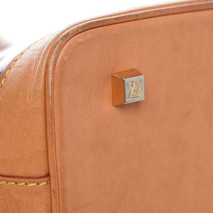Louis Vuitton Vinyl Cabas Sac Ambre MM 7 of 12