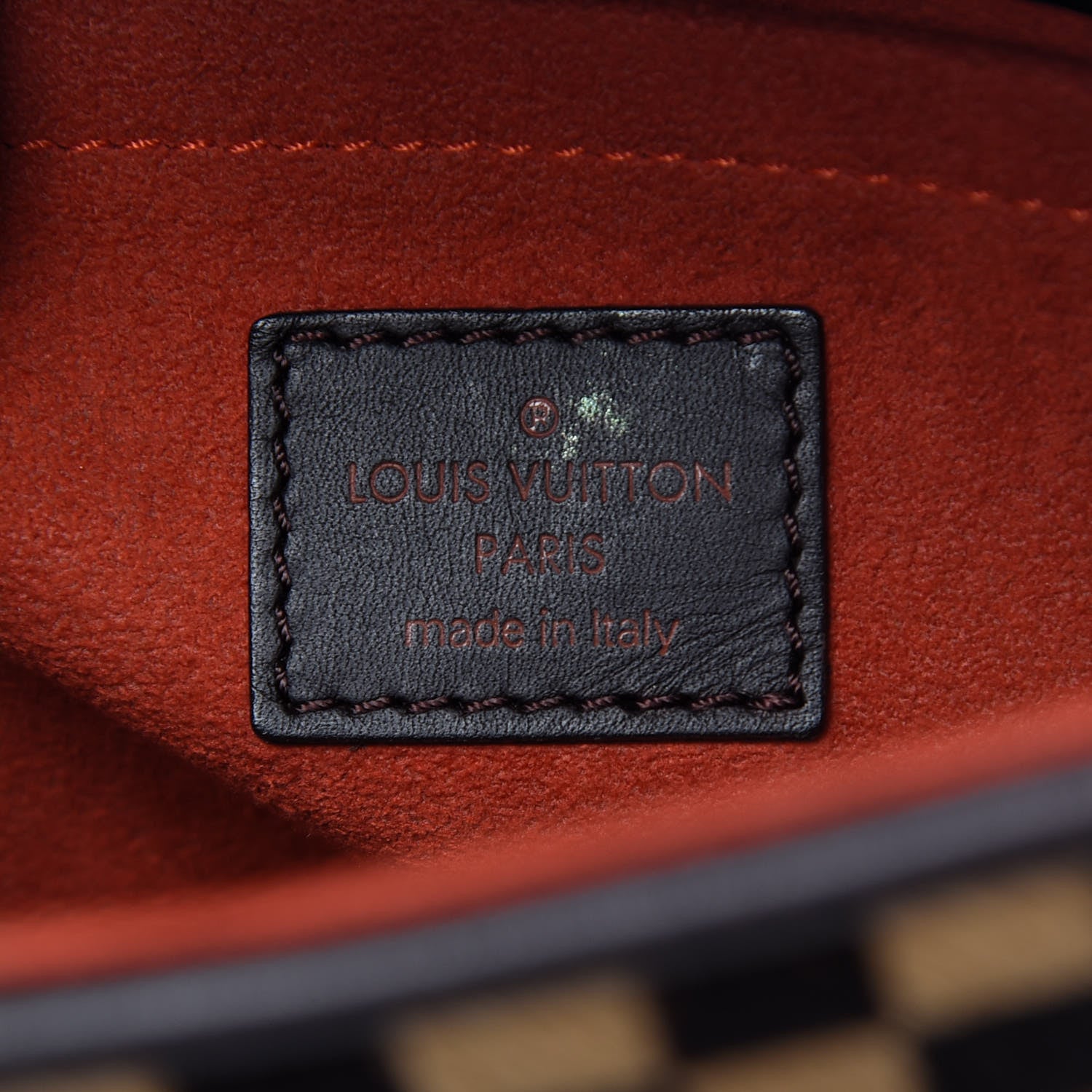 Louis Vuitton Damier Calf Hair Sauvage Lionne 6 of 16