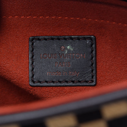 Louis Vuitton Damier Calf Hair Sauvage Lionne 6 of 16
