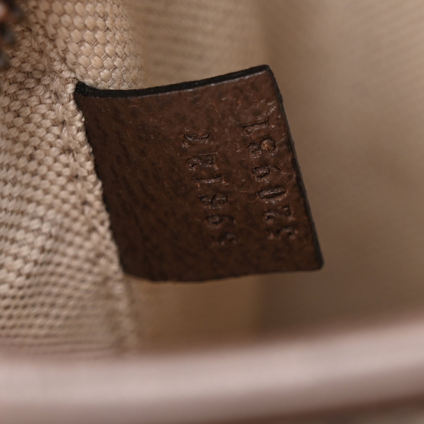 GG Supreme Monogram Web Mini Ophidia Messenger Brown
