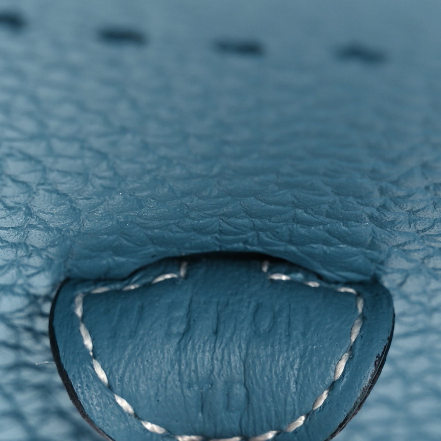 Taurillon Clemence Evelyne TPM New Blue Jean