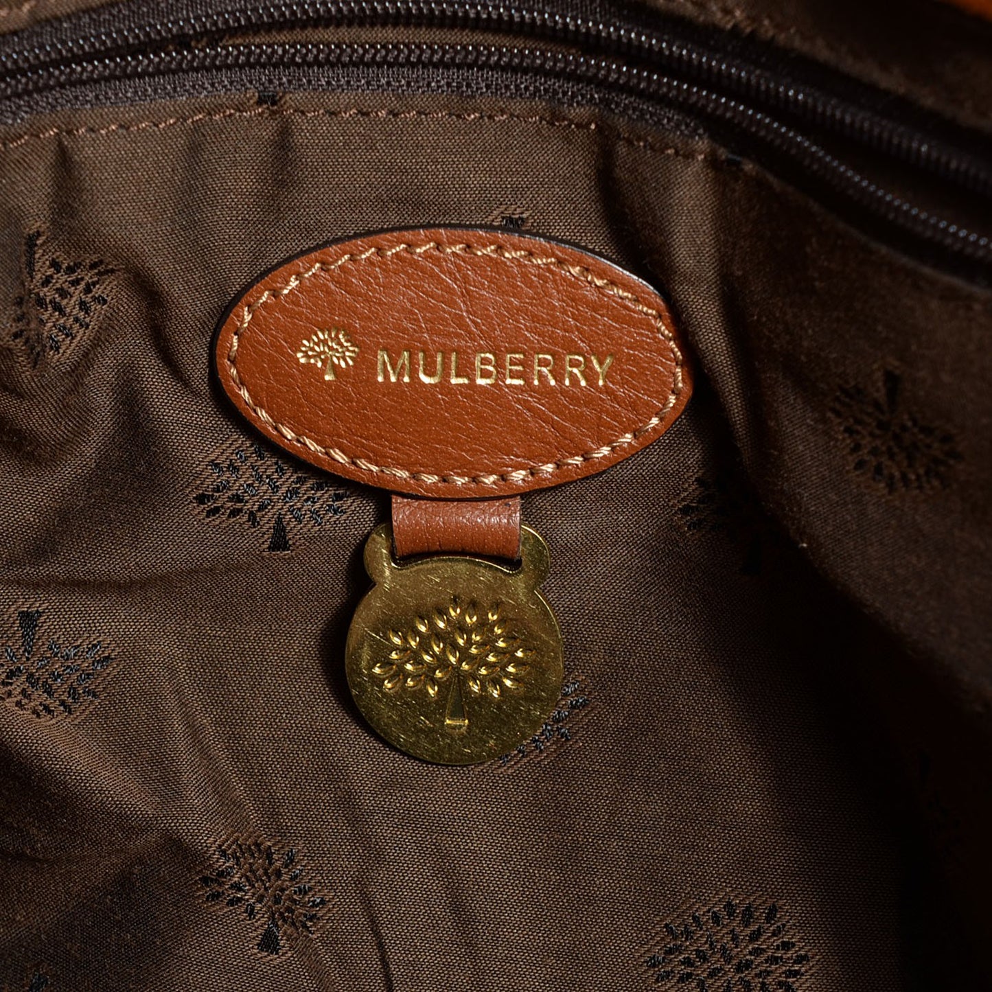 Polished Buffalo Oversized Alexa Oak