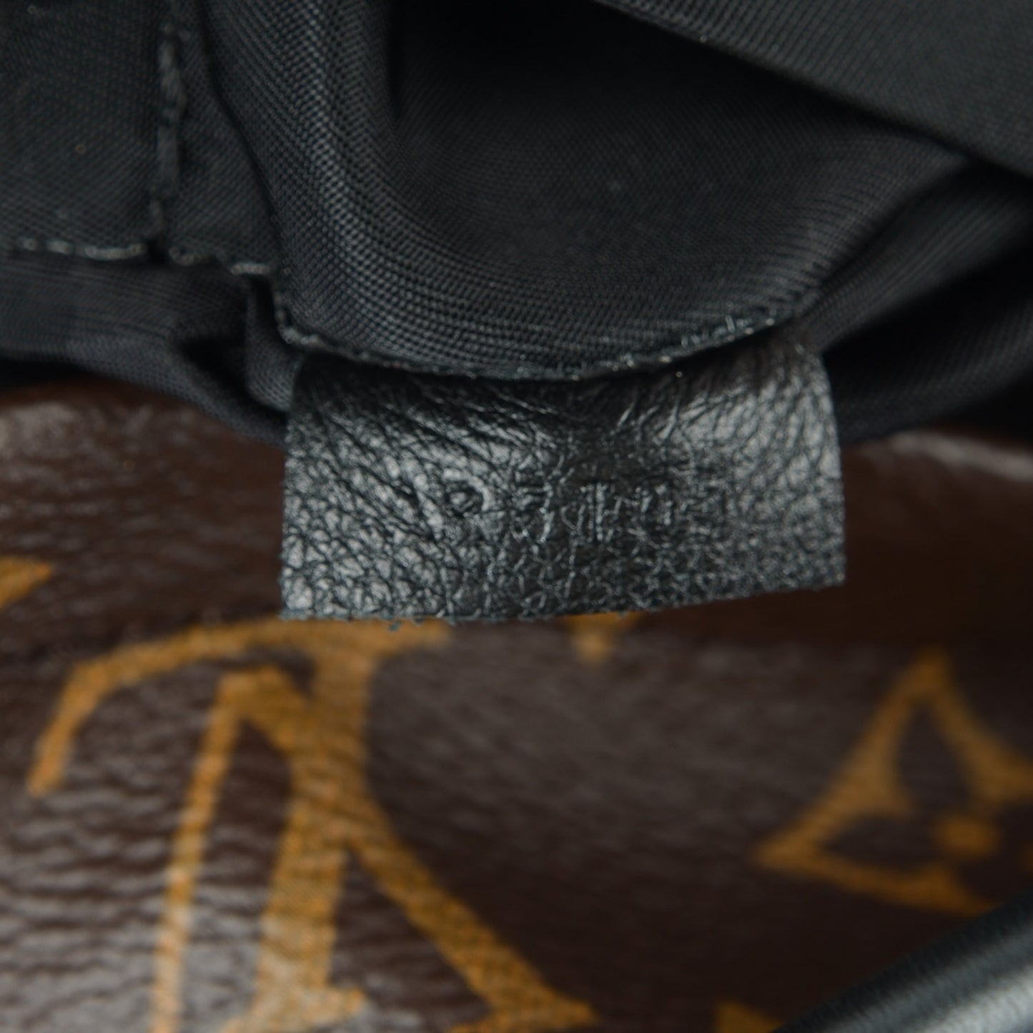Monogram Palm Springs Backpack Mini