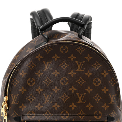 Louis Vuitton Monogram Palm Springs Backpack MM 7 of 11
