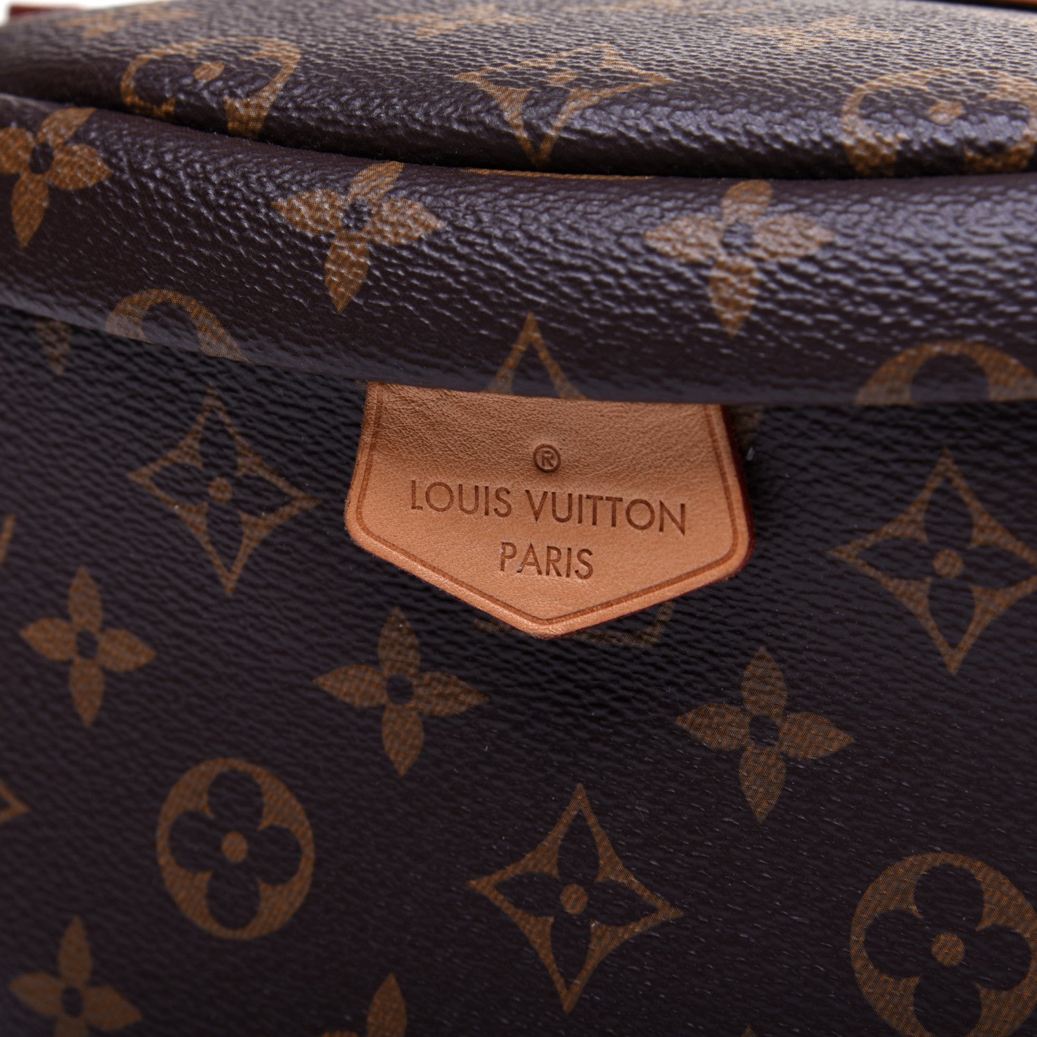 Louis Vuitton Monogram Bumbag 11 of 12