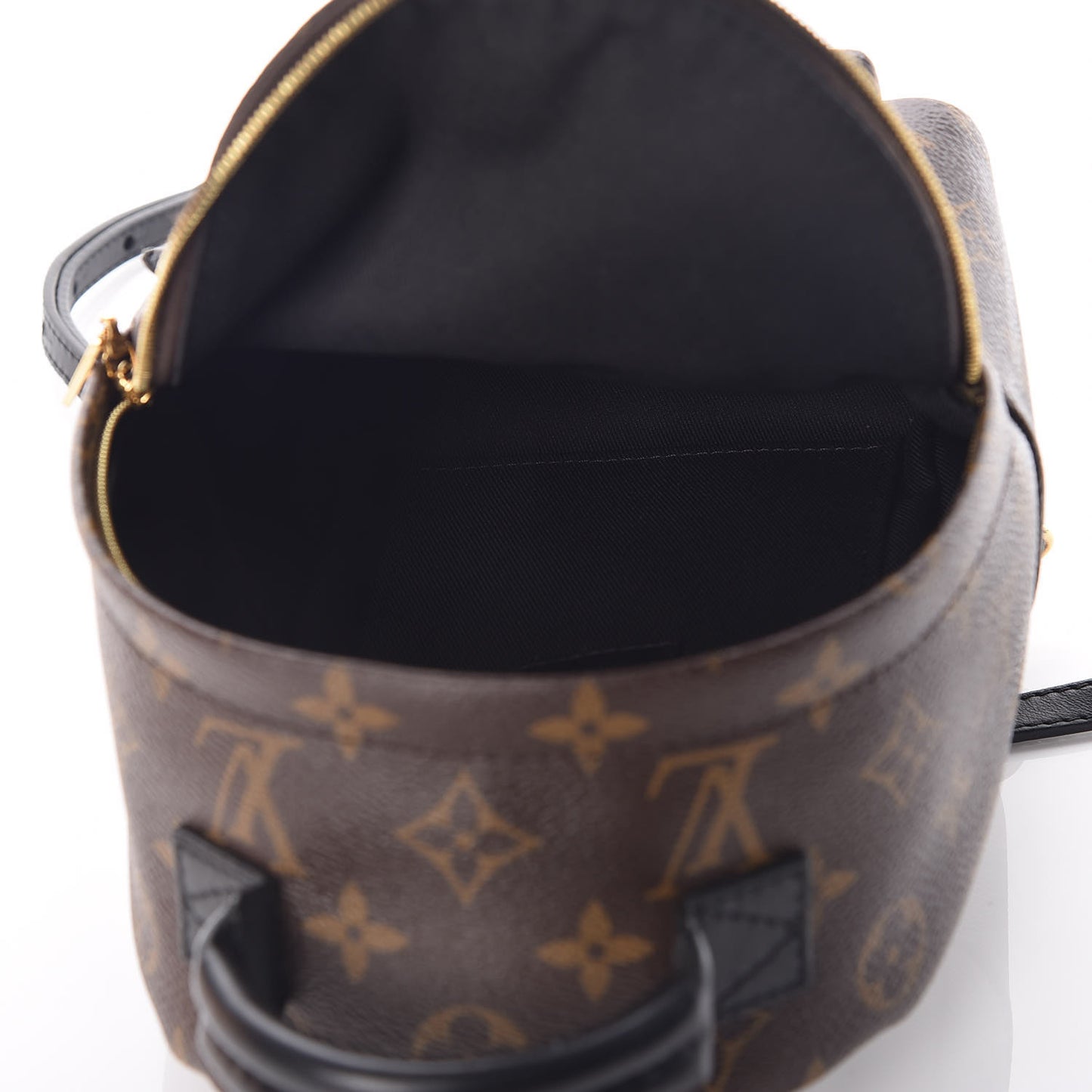 Monogram Palm Springs Backpack Mini
