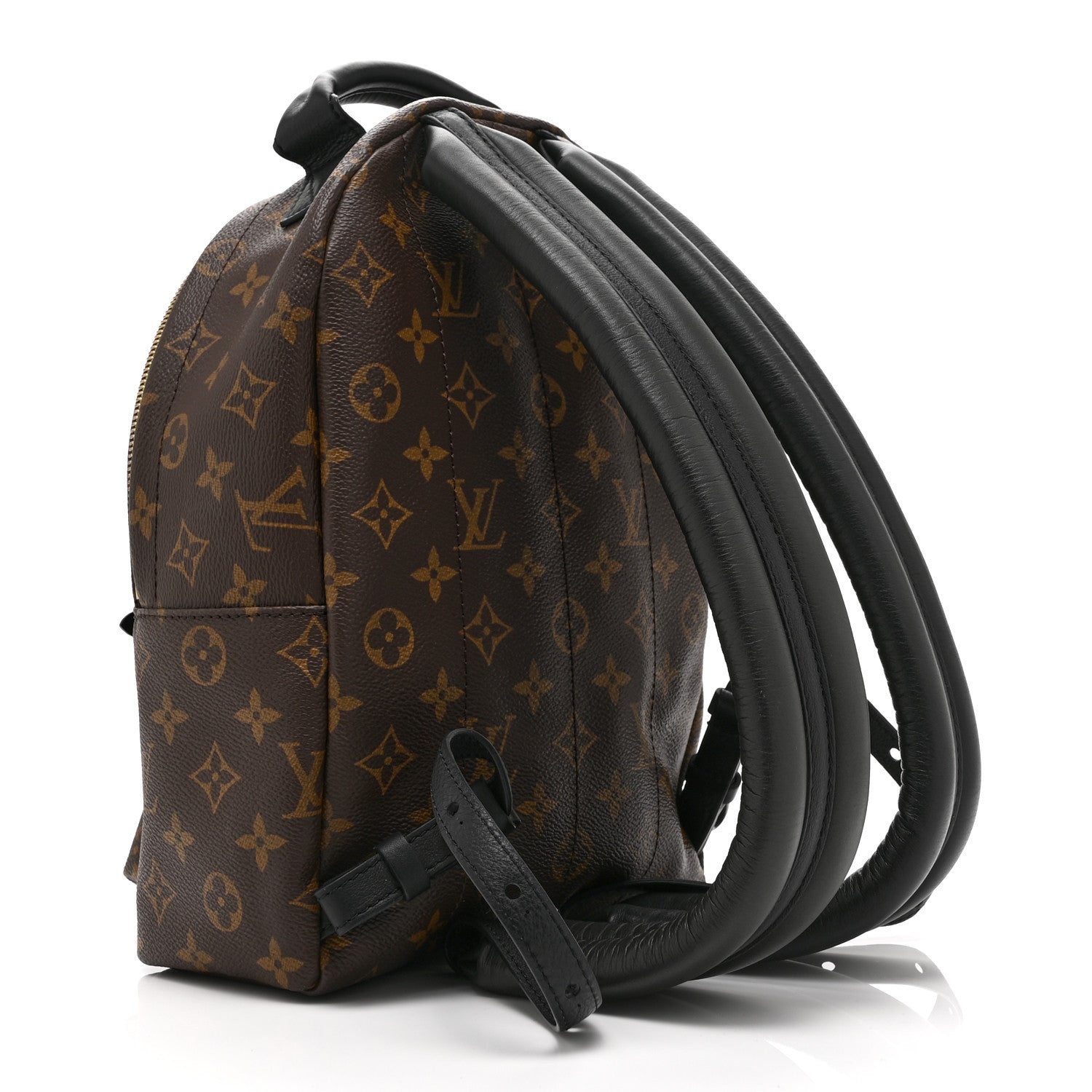Louis Vuitton Monogram Palm Springs Backpack PM 3 of 9