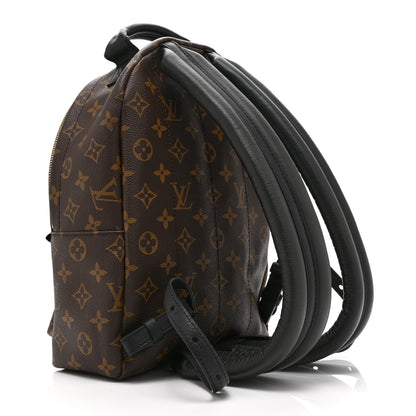 Louis Vuitton Monogram Palm Springs Backpack PM 3 of 9