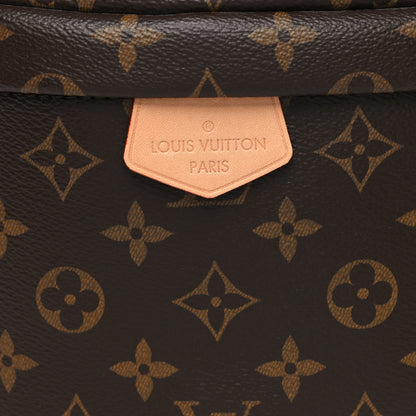 Louis Vuitton Monogram Bumbag 6 of 8