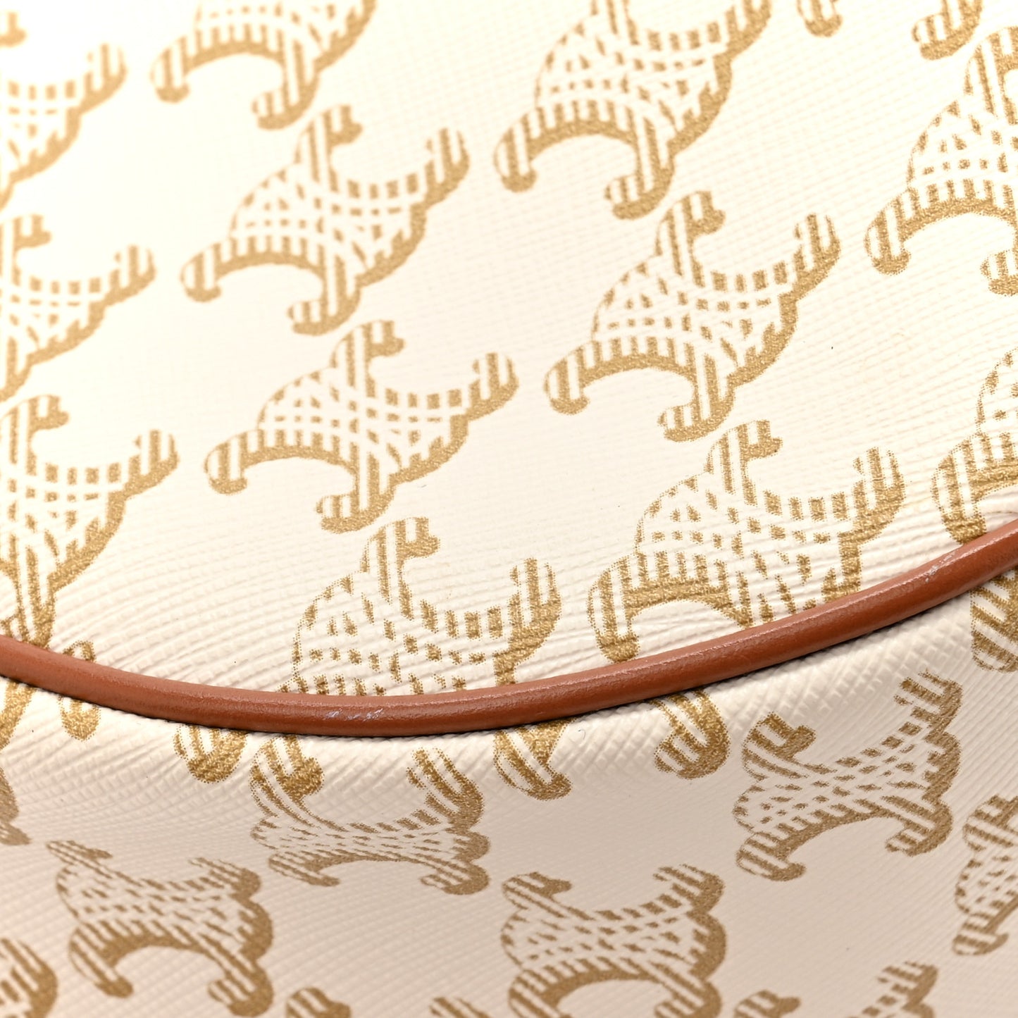 Canvas Calfskin Ava Triomphe Shoulder Bag White