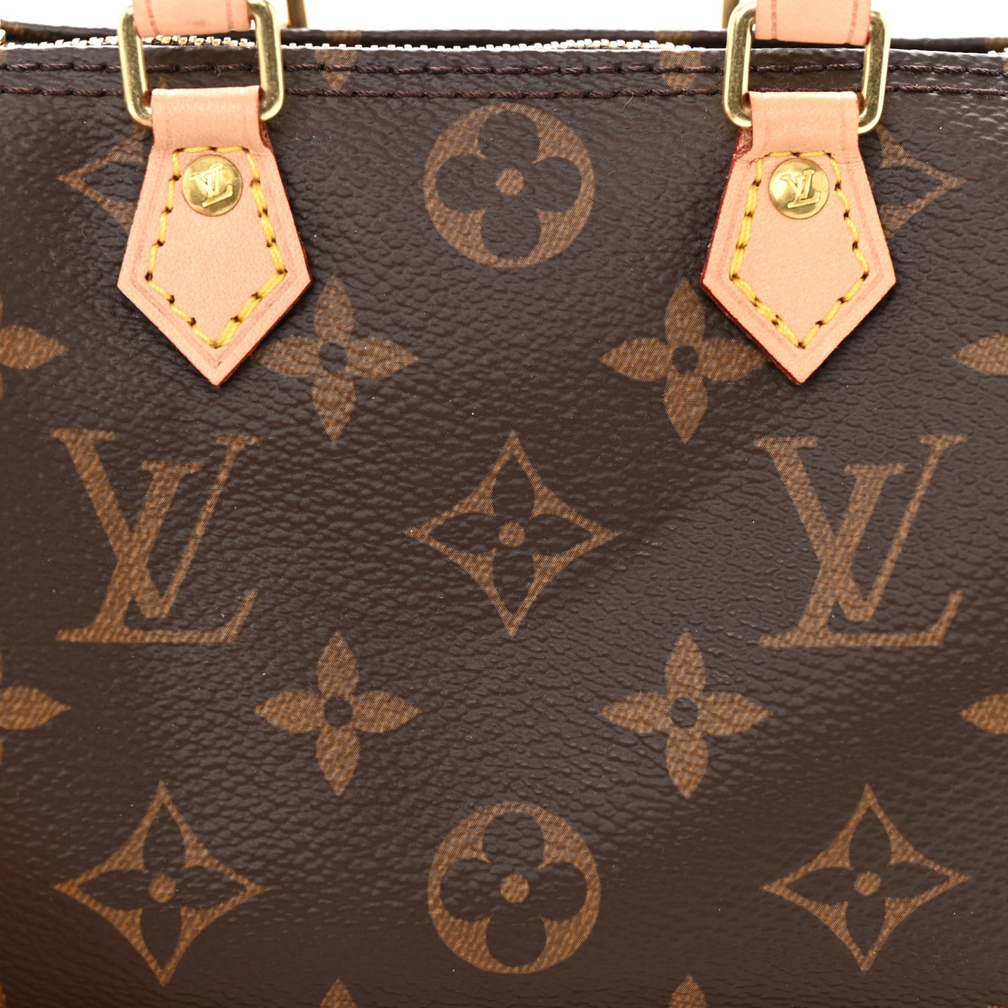 Monogram Nano Speedy