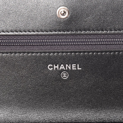 Chanel Aged Calfskin Quilted Tassel Wallet On Chain WOC Dark Silver 8 of 10