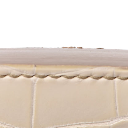 Hermes Matte Niloticus Crocodile Himalaya Birkin 30 Blanc 18 of 56