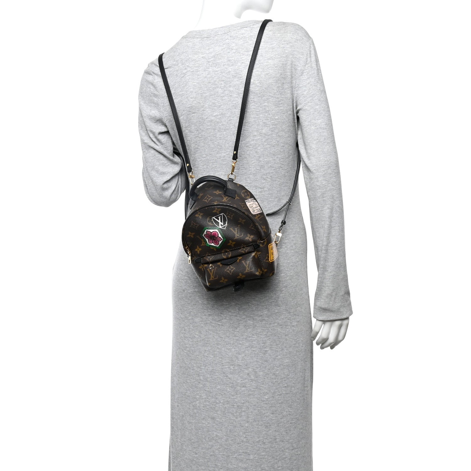 Louis Vuitton Monogram My World Tour Palm Springs Backpack Mini 2 of 10