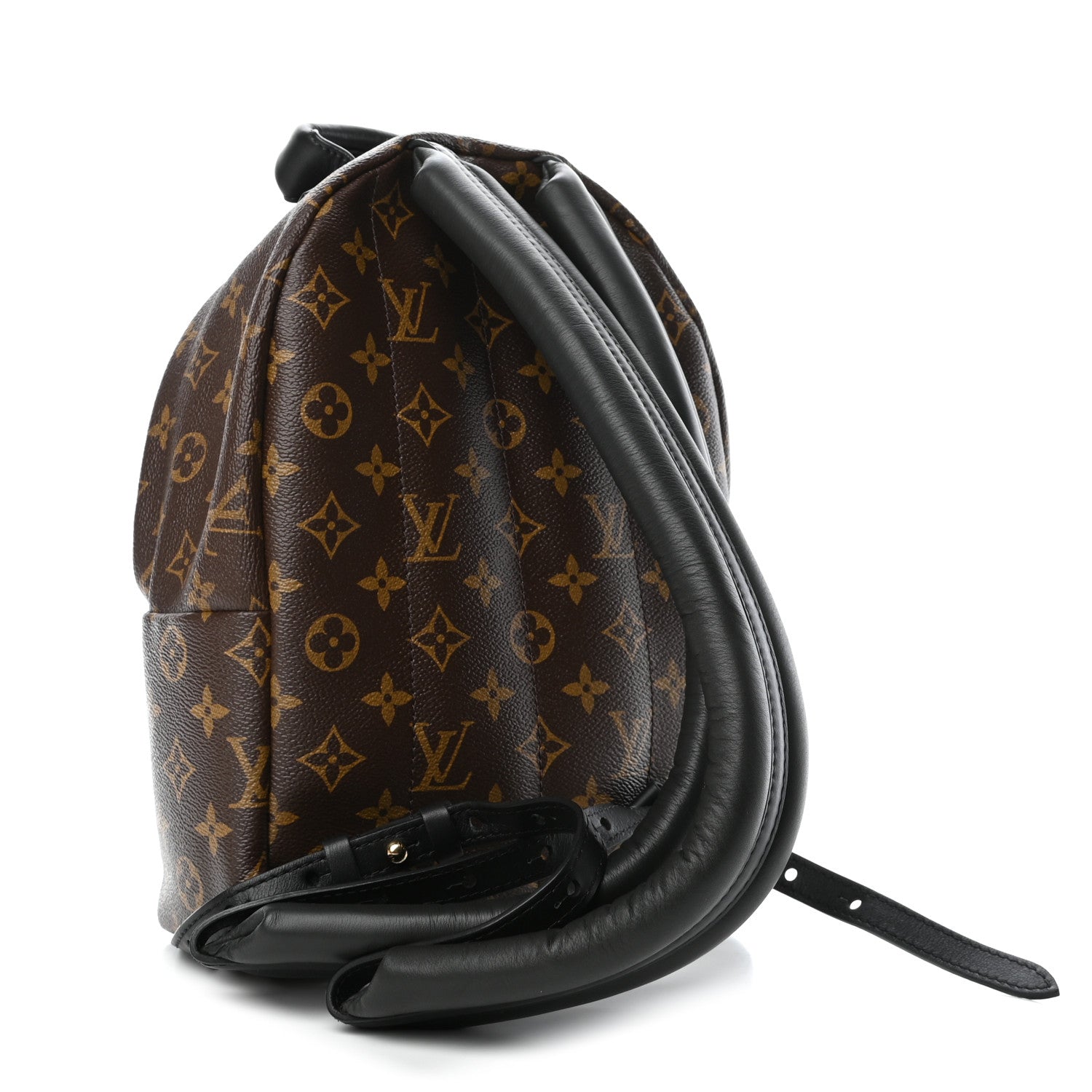 Louis Vuitton Monogram Palm Springs Backpack PM 2 of 4