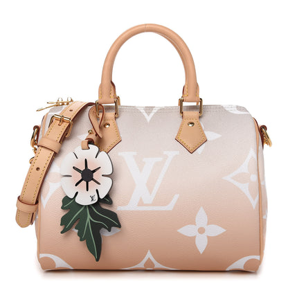 Louis Vuitton Monogram Giant By The Pool Speedy Bandouliere 25 Brume 1 of 11