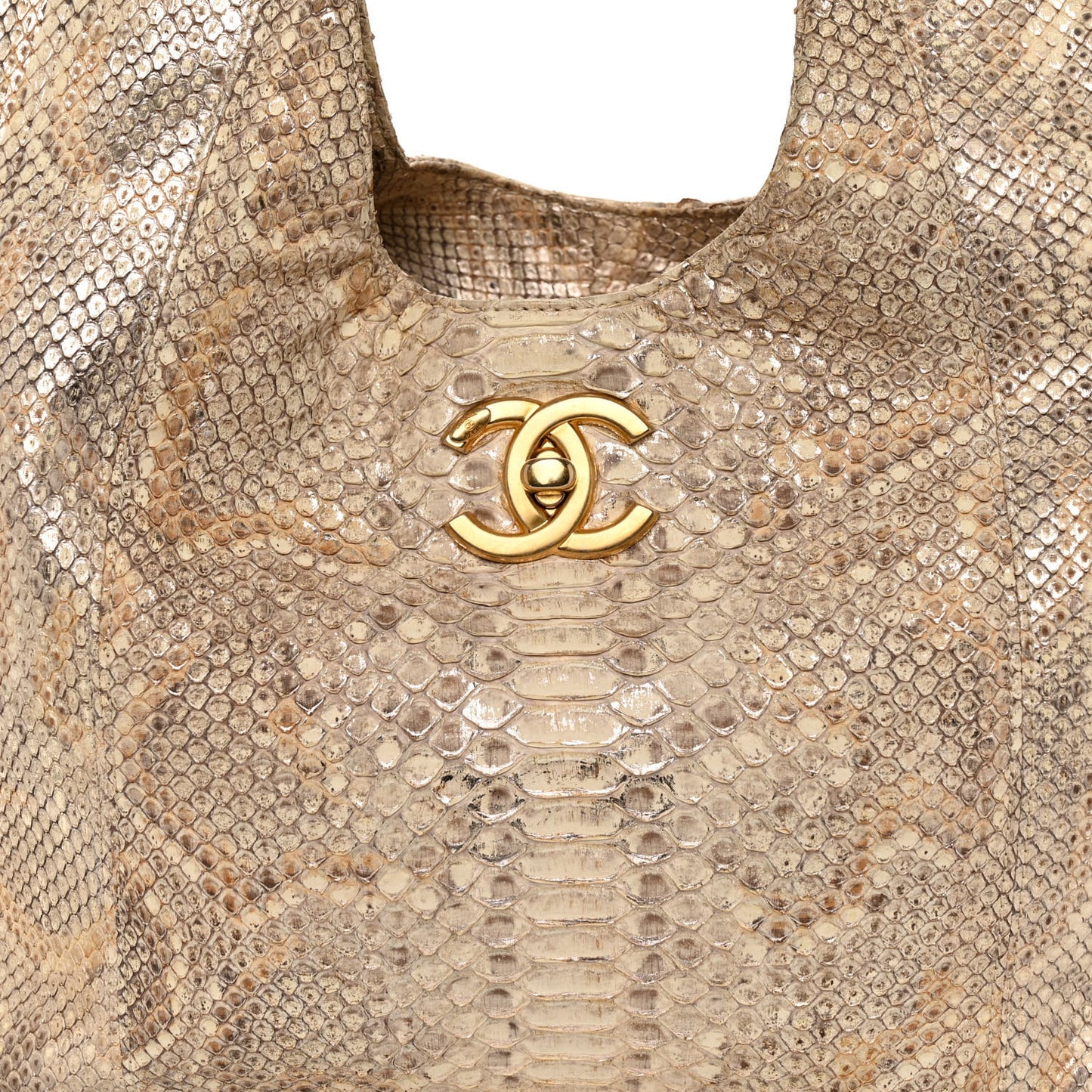 Snakeskin CC Hobo Beige