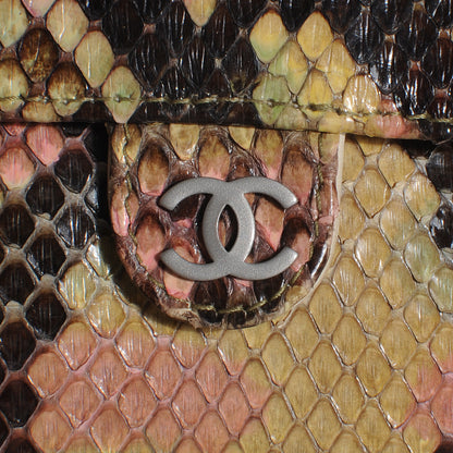 Chanel Python Convertible 3 Way Belt Bag Multicolor 5 of 8