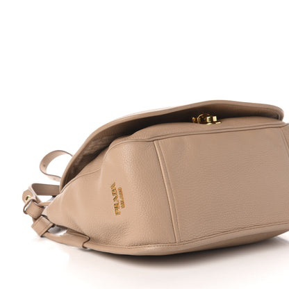 Prada Vitello Daino Logo Messenger Cammeo 8 of 12