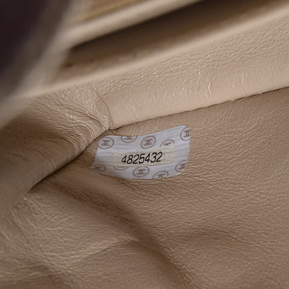 Chanel Canvas Bekko Resin Small Single Flap Beige 8 of 9