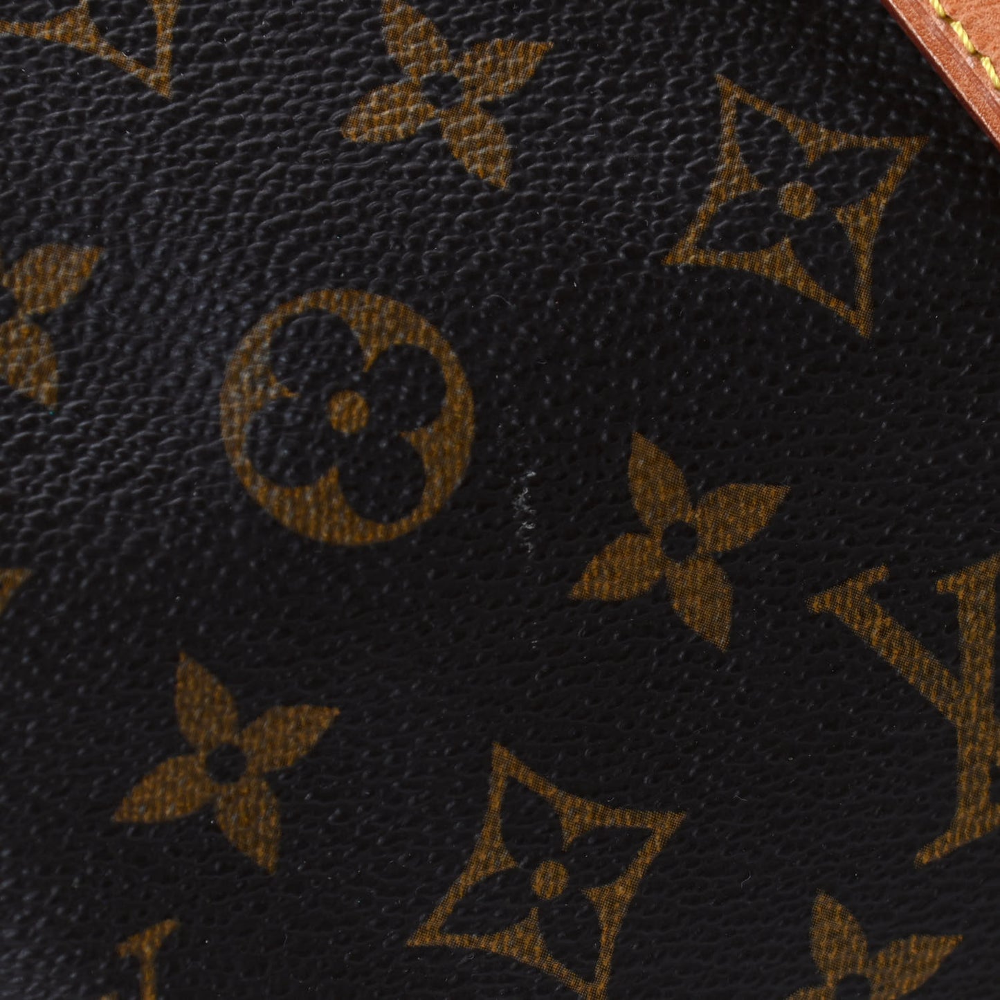 Monogram Cabas Alto