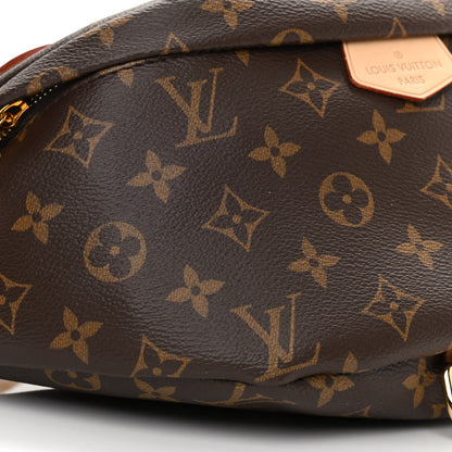Louis Vuitton Monogram Bumbag 8 of 9