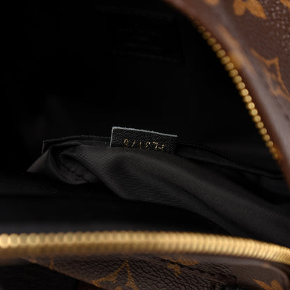 Louis Vuitton Monogram Palm Springs Backpack PM 8 of 9