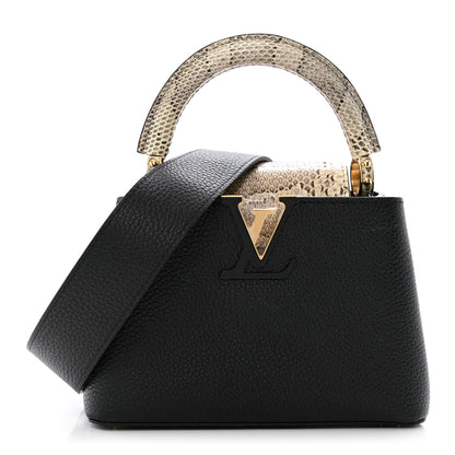 Louis Vuitton Taurillon Ayers Mini Capucines  Black 1 of 12