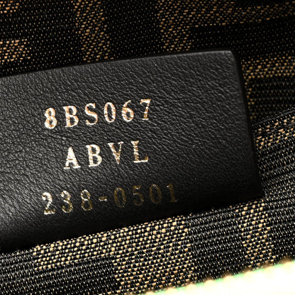 Fendi Vitello King Plexiglass Logo Embossed Mini By The Way Top Handle Boston Bag Edamame 7 of 9