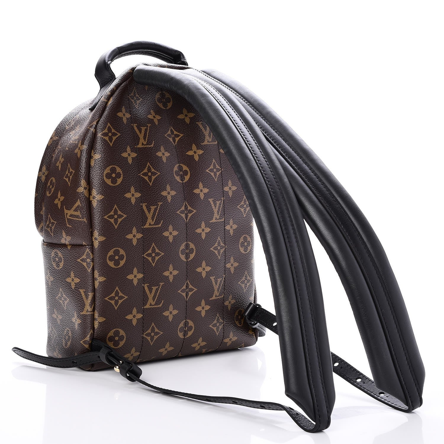 Louis Vuitton Monogram Palm Springs Backpack PM 3 of 6