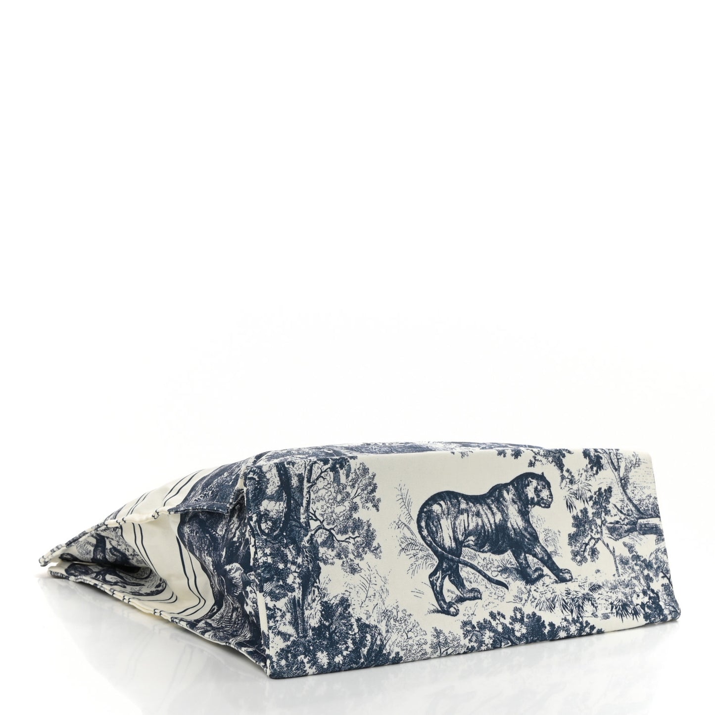 Canvas Dioriviera Tote