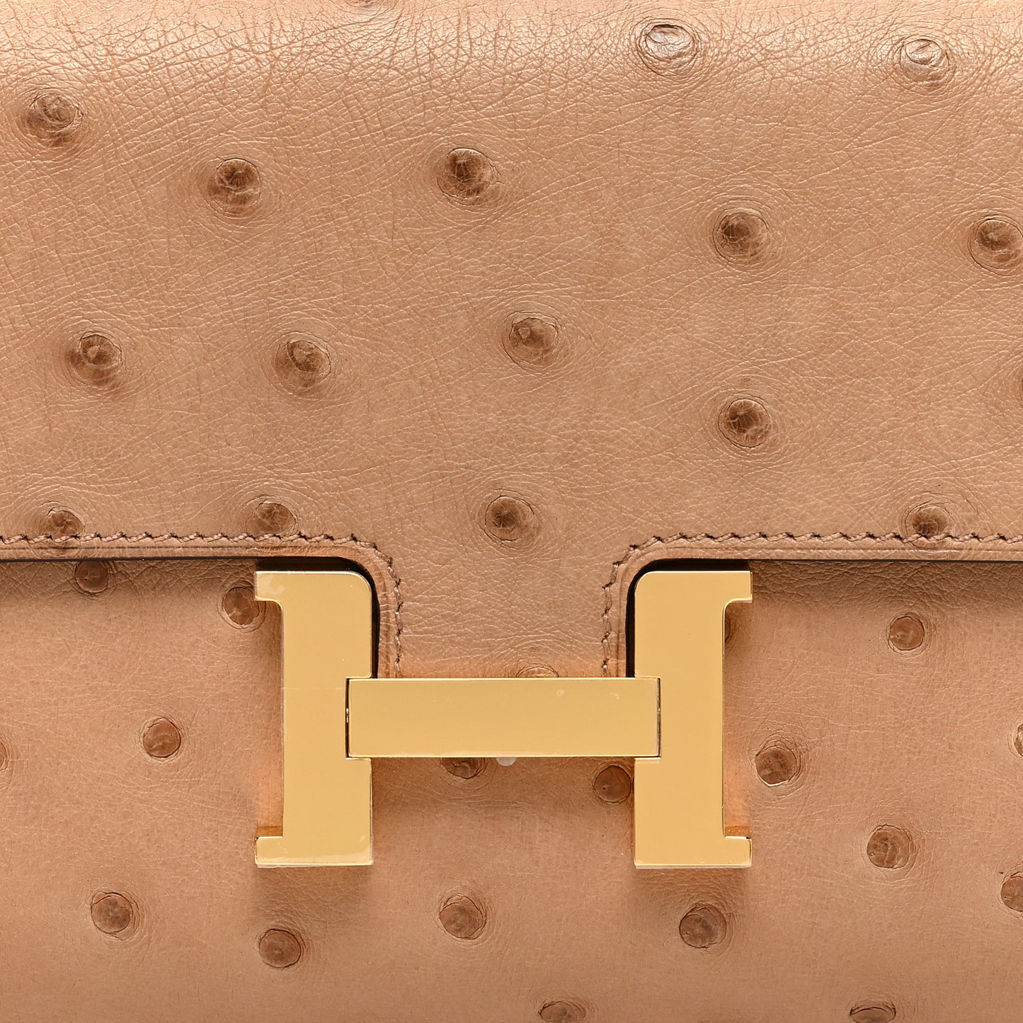 Ostrich Constance Long Wallet To Go Chai