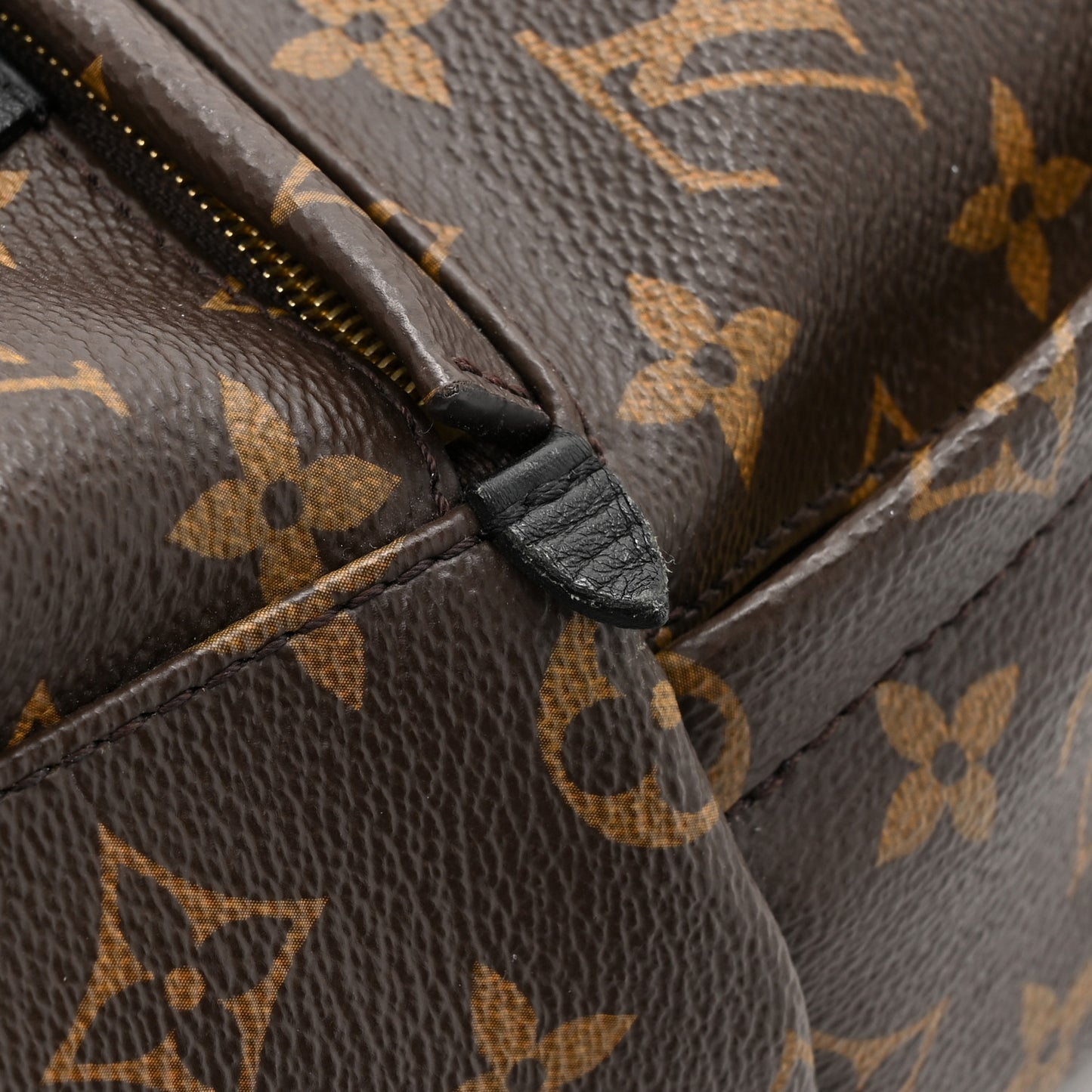 Monogram Palm Springs Backpack Mini