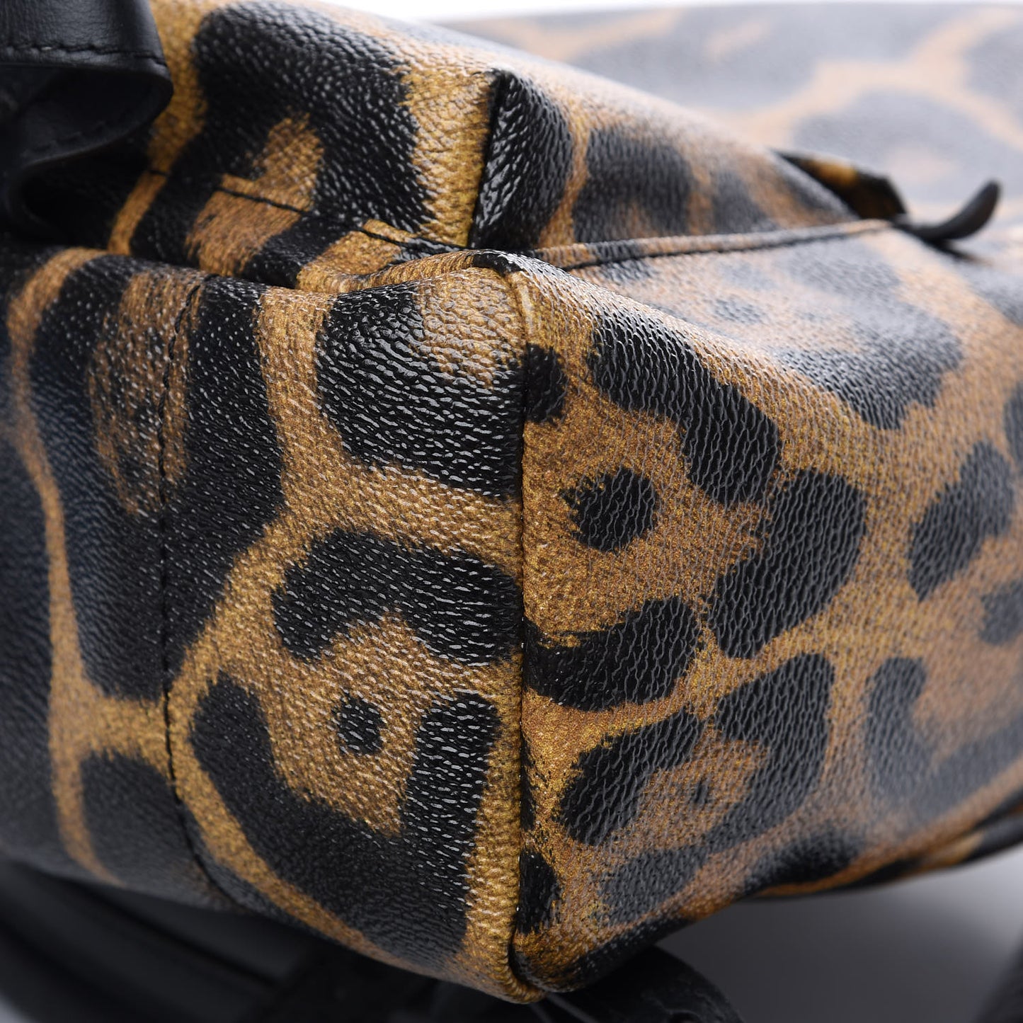 Wild Animal Print Palm Springs Backpack PM