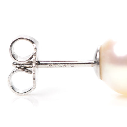 Tiffany 18K White Gold Akoya Pearl 8mm Signature Earrings 4 of 4