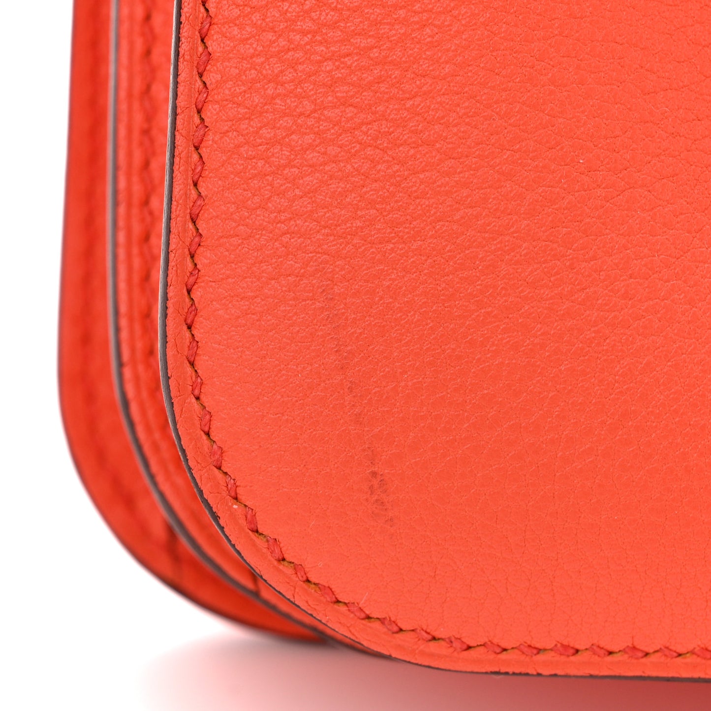 Evercolor Constance 24 Orange Poppy