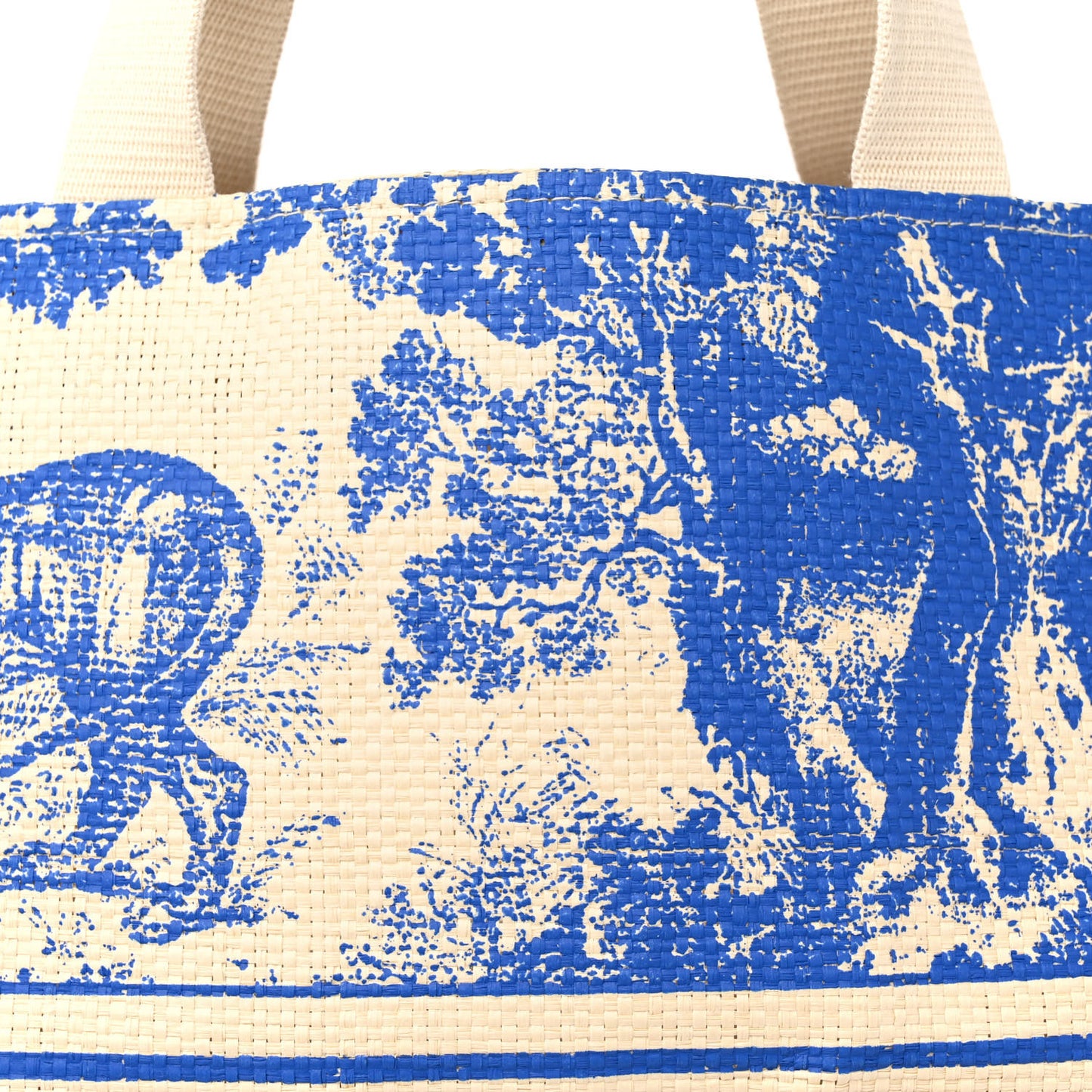 Straw Dioriviera Tote Blue