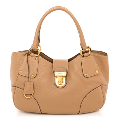 Prada Vitello Daino Pushlock Tote Sughero 1 of 11