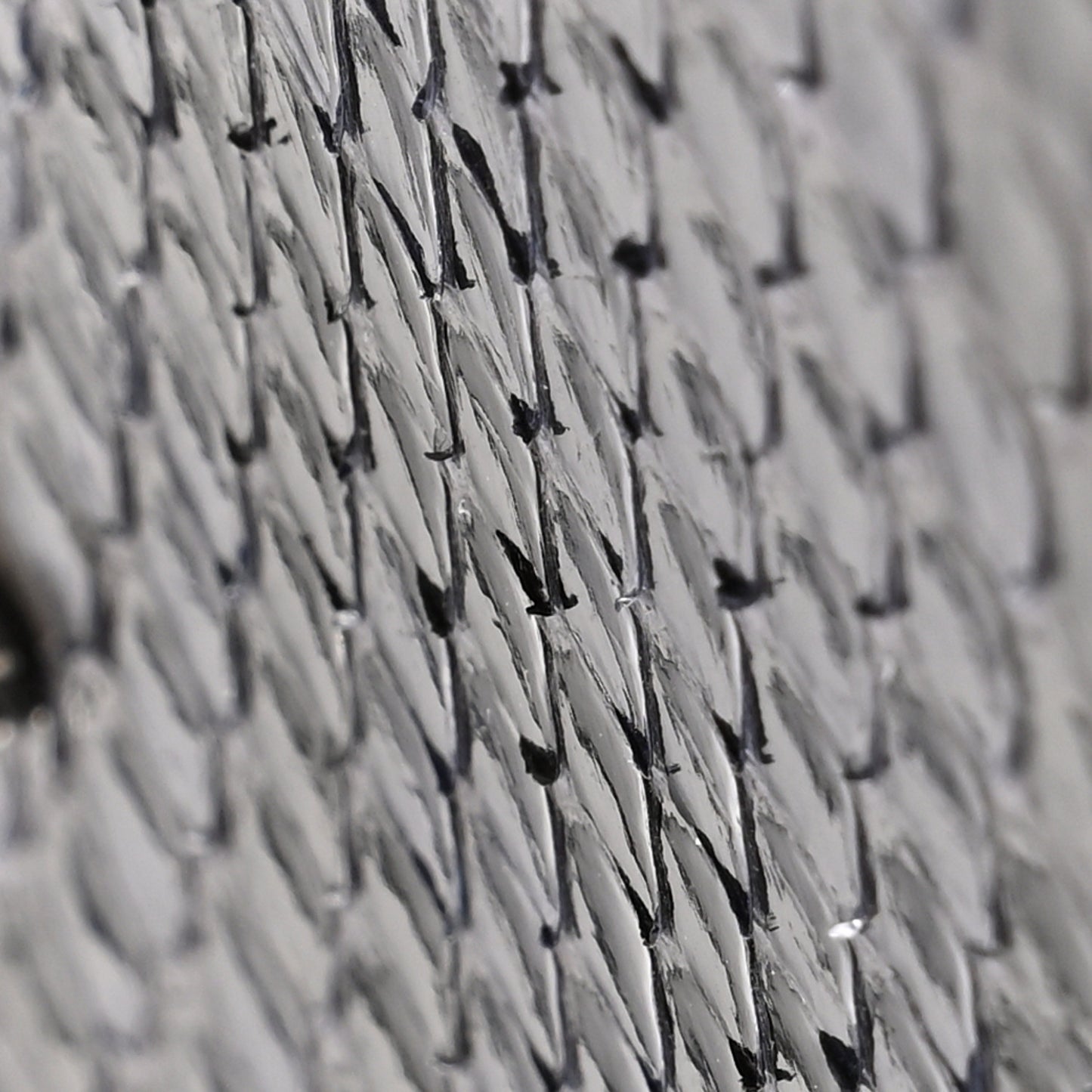 Snakeskin Metal Monster Eyes Zip Around Wallet Navy