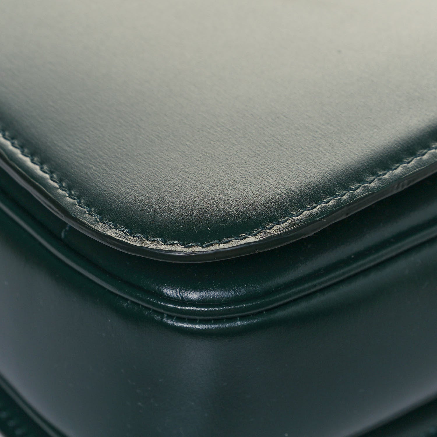 Celine Shiny Calfskin Medium Triomphe Amazone 12 of 13